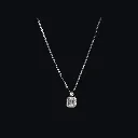 CFDAB-N-GW-DIWIT-41-10003 (1) (1).webp