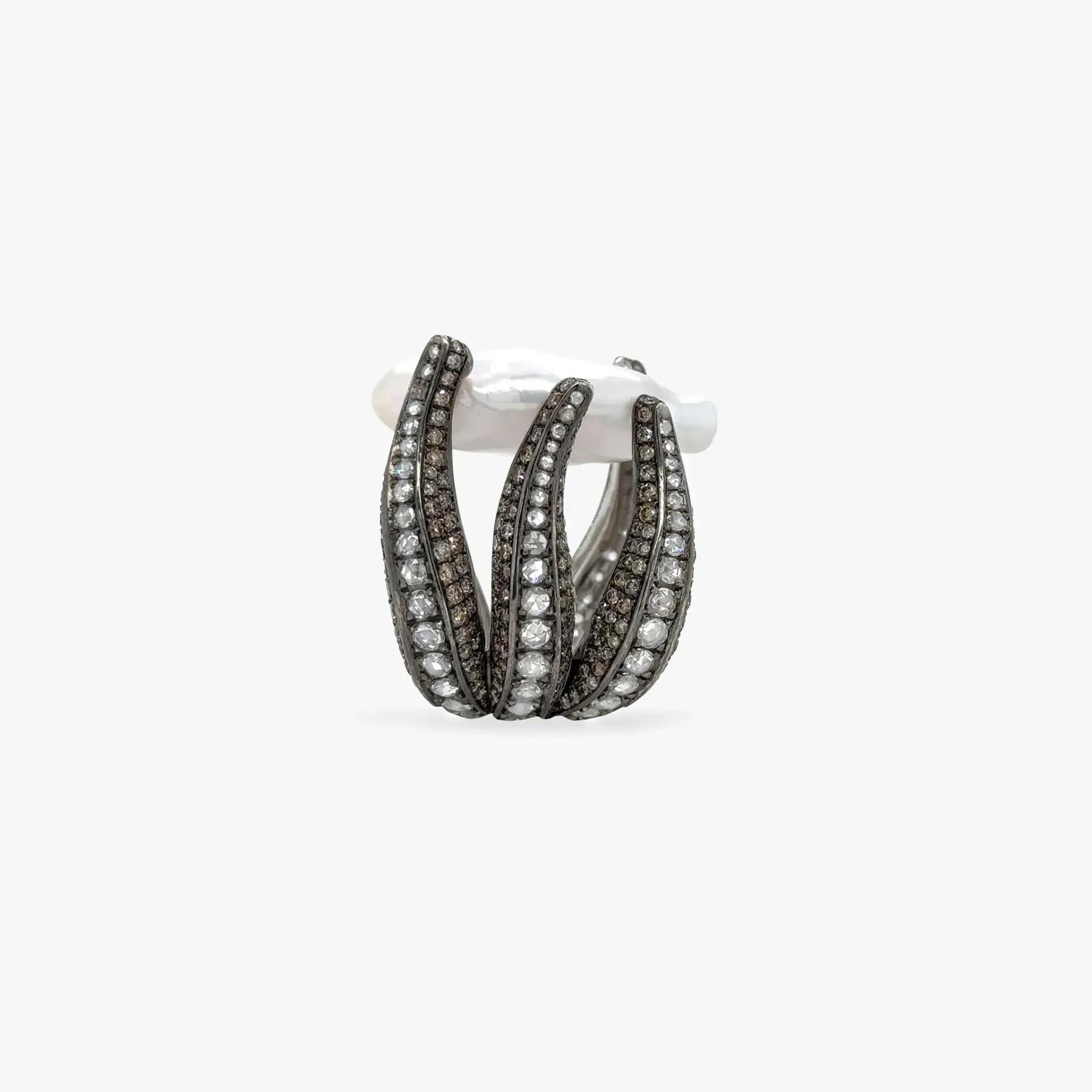 [CFDAB-R-GB-DIBRN-53-10015] Ring octopus 