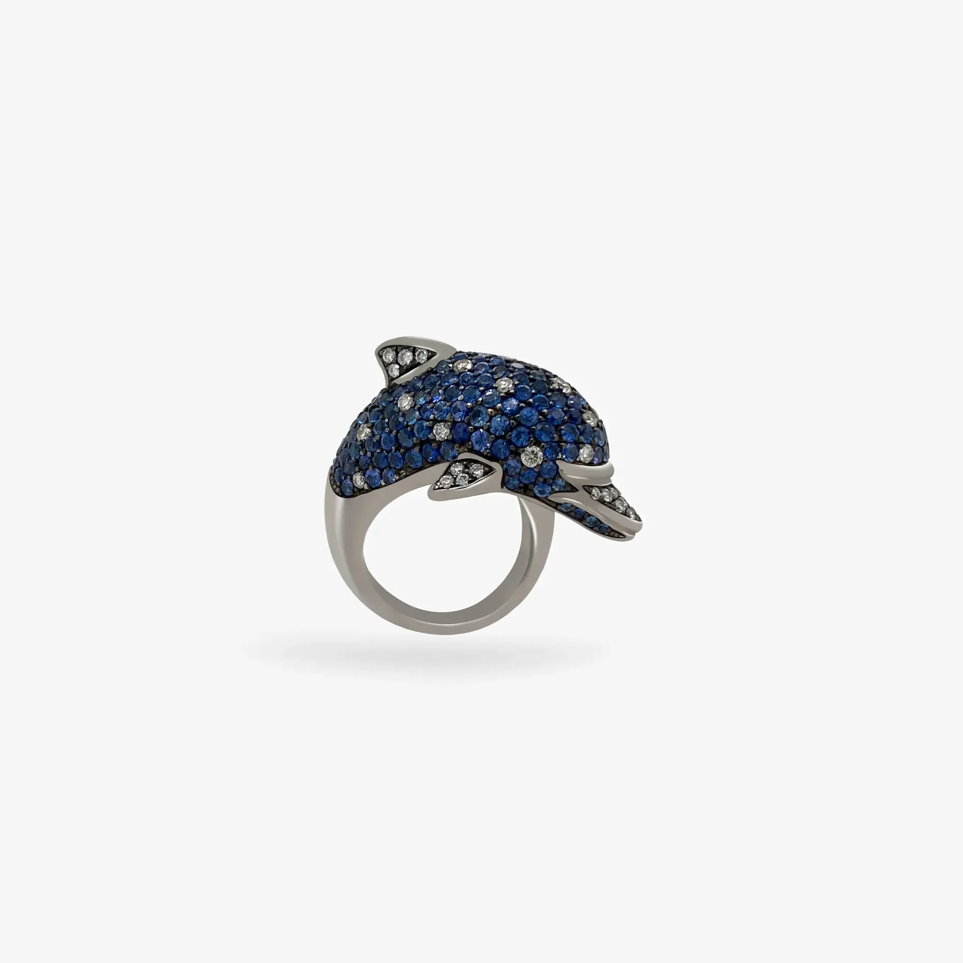 [CFDAB-R-SW-PSBLU-48-10026] Ring fish