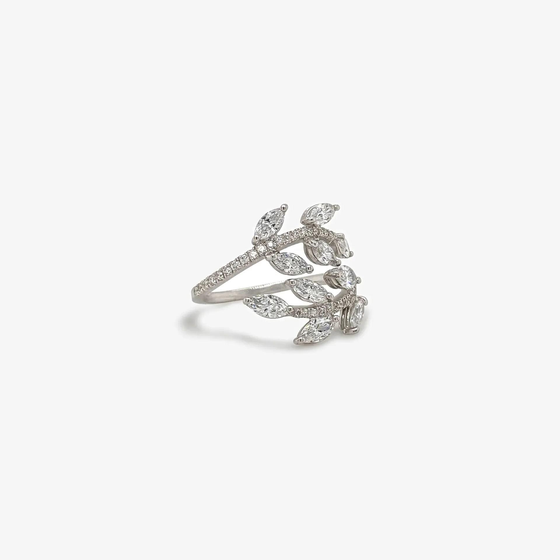 Ring caesar 